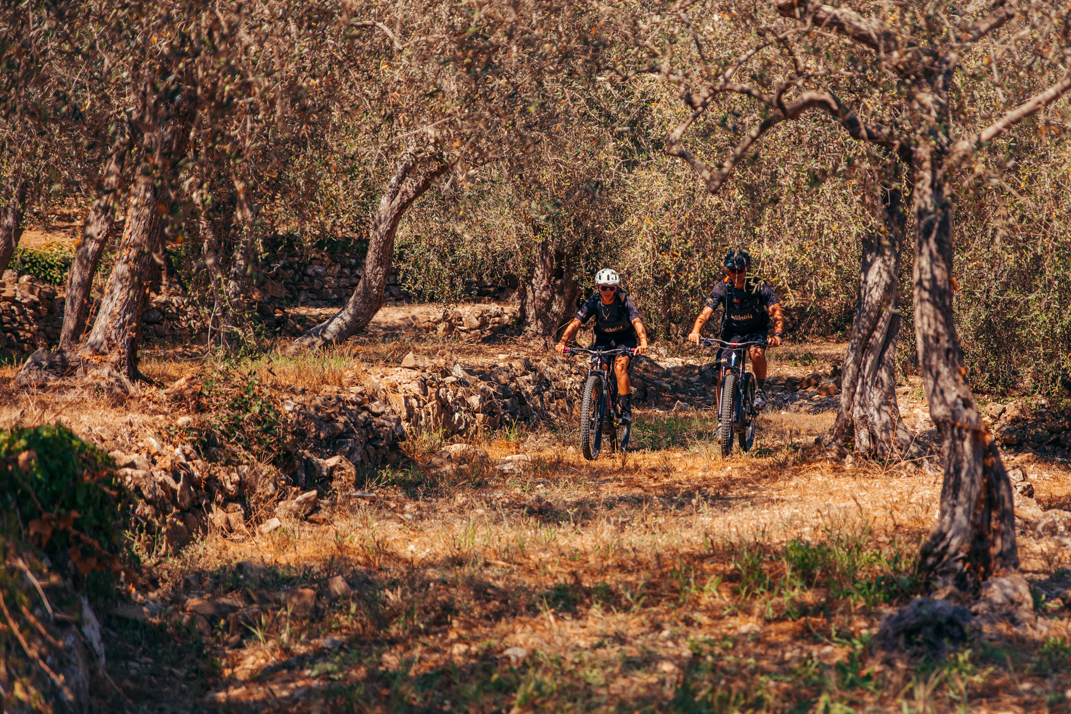 In bicicletta tra ulivi e muri a secco nella campagna di Imperia