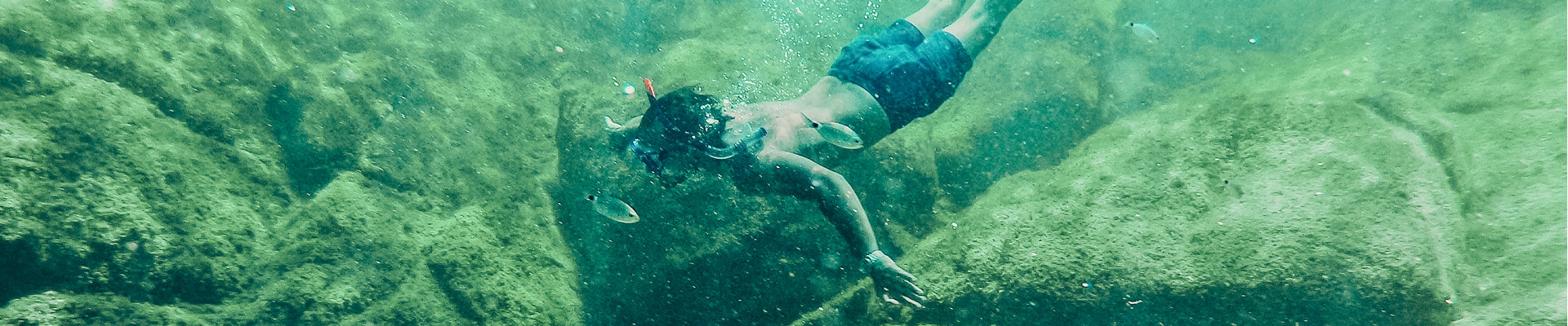 Diving al largo delle spiagge imperiesi  